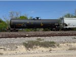 UTLX 206986